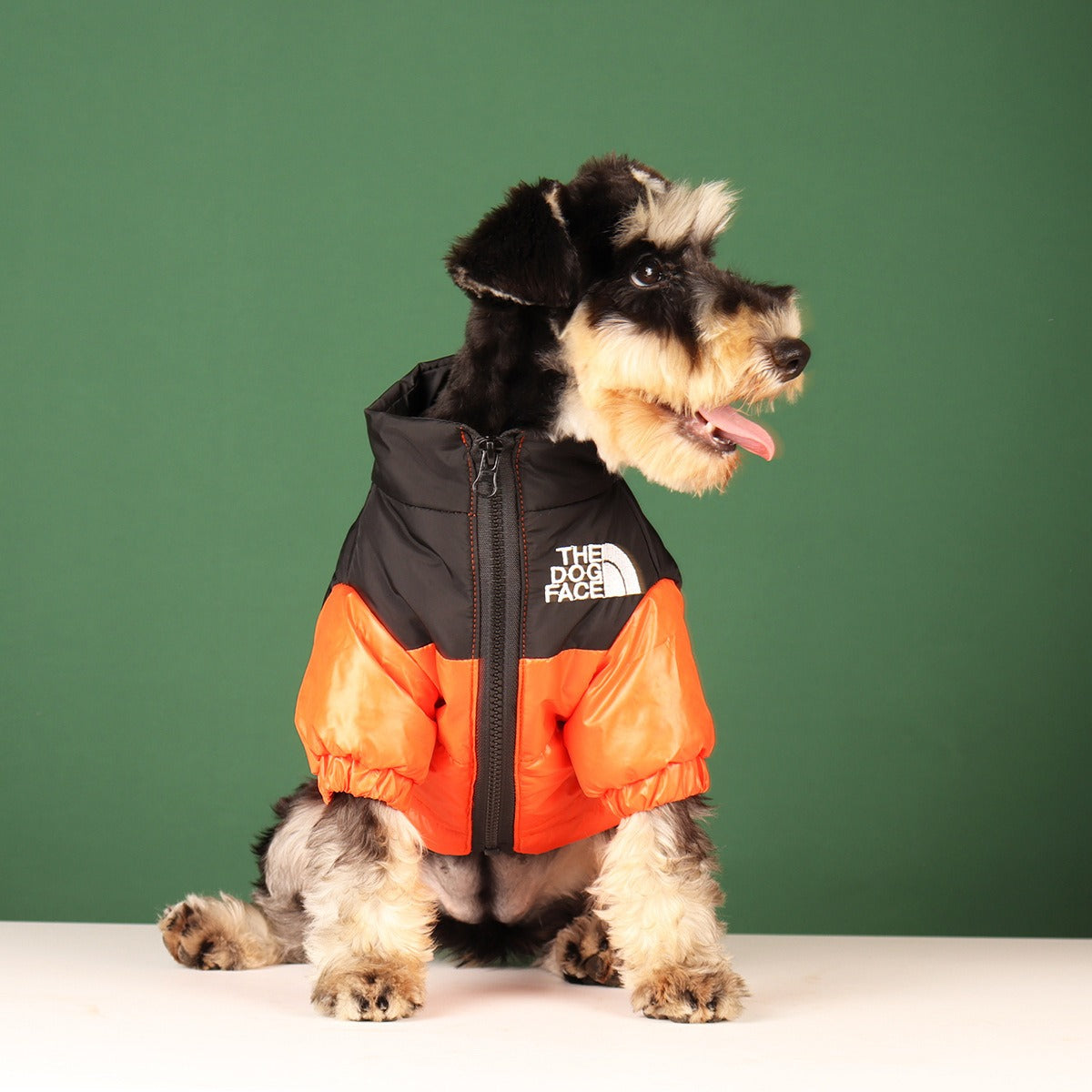 Lux Dog Puffer Jacket